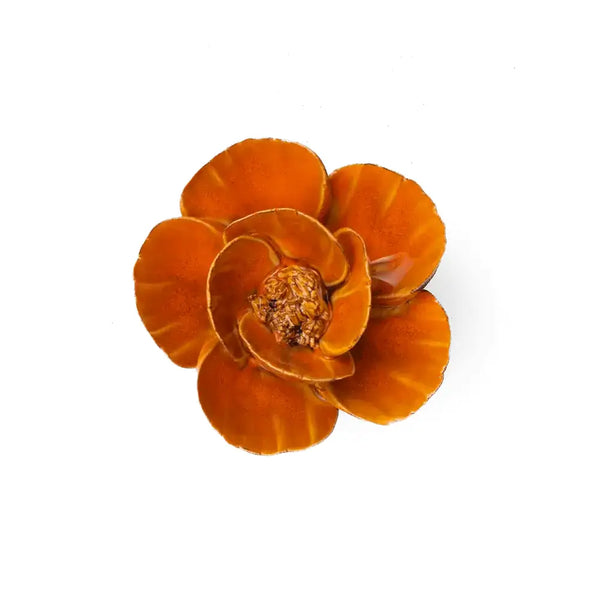 Oransje Valmue - Chive