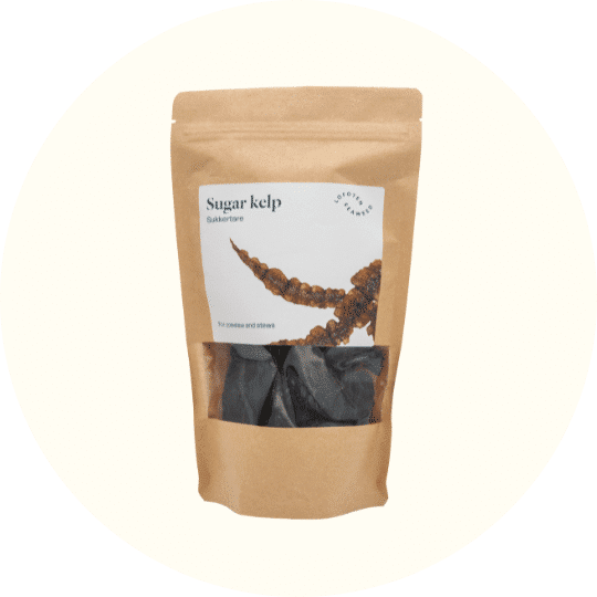 Sukkertare - Lofoten Seaweed