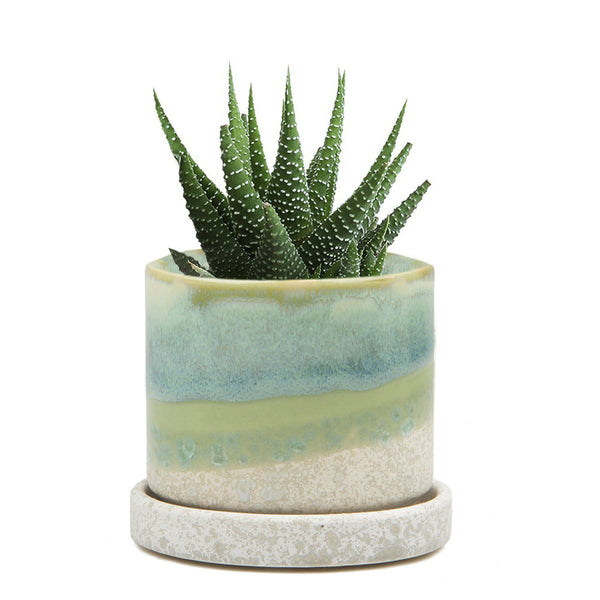Minute Pot and Saucer Green Cement - Chive