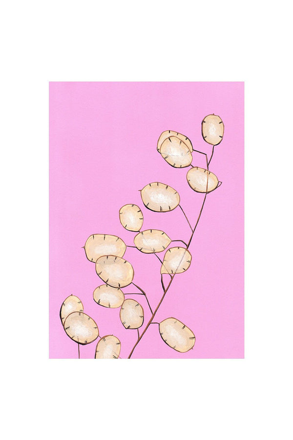 Honesty - Stengun Drawings