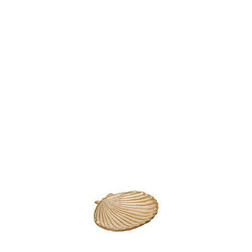 GALIA-shell-fat