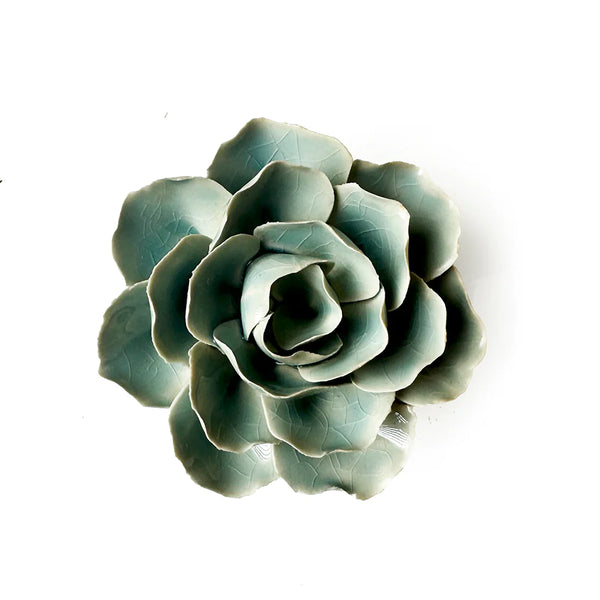 Teal Ranunculus - Chive