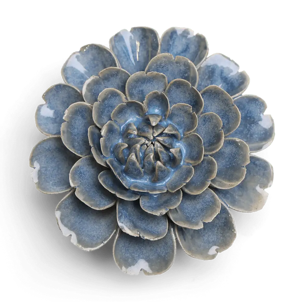 Blue Marigold - Chive