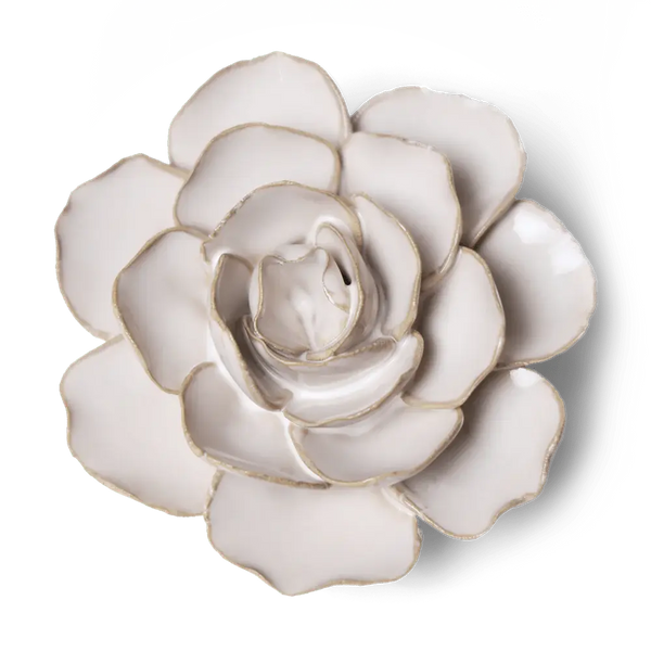 Ranunculus Ivory - Chive