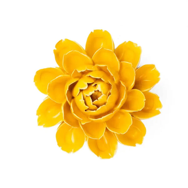 Burnt Yellow Empire Cabbage Flower - Chive