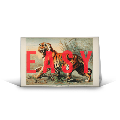 EASY TIGER by THE 13 PRINTS Kort - Art Wow - glott.no