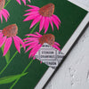 Echinacea - Stengun Drawings - glott.no