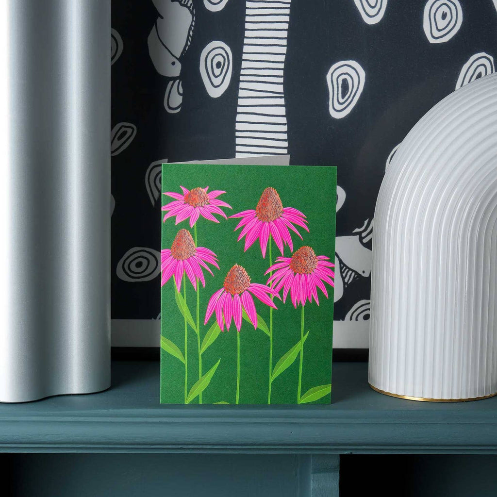 Echinacea - Stengun Drawings - glott.no
