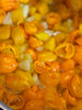 Florida Saus - No Stress Edition - Vestland Chili - glott.no