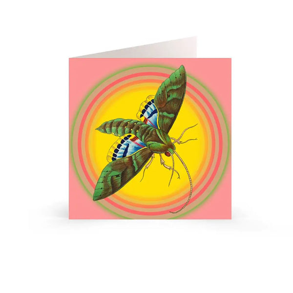 Kort - Raving Moth -  'Alkemest