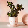 Mini Girl Power Boobies White Planter - Sass & Belle - glott.no