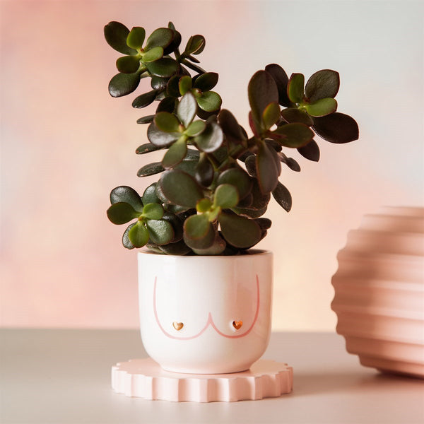 Mini Girl Power Boobies White Planter - Sass & Belle - glott.no