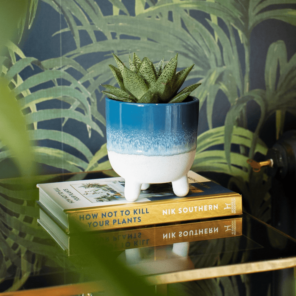 Mojave Glaze Blue Planter - Large - Sass & Belle - glott.no