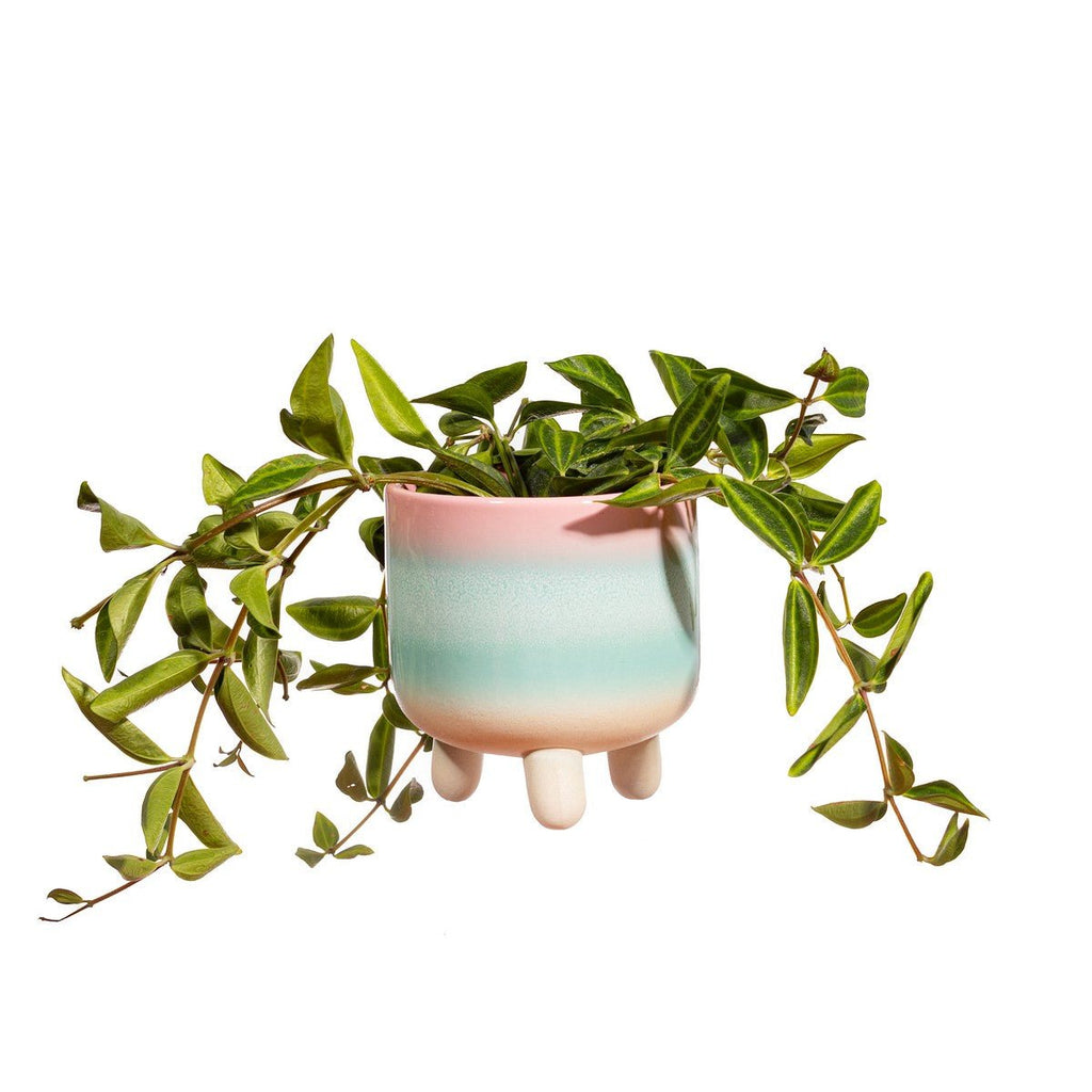 Mojave glaze green & pink planter - Sass & Belle - glott.no