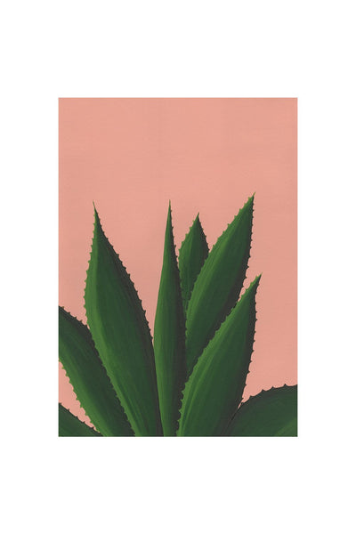 AGAVE Print - Stengun Drawings - glott.no