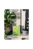 BIRDS OF PARADISE - Stengun Drawings - glott.no