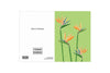 BIRDS OF PARADISE - Stengun Drawings - glott.no