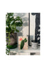 CACTUS ON TERRAZZO - Stengun Drawings - glott.no