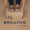 Cork Yoga Block - Liga - glott.no