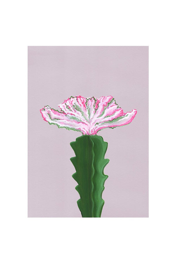 CRESTED EUPHORBIA - Stengun Drawings - glott.no
