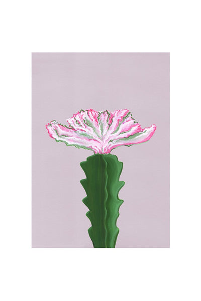 CRESTED EUPHORBIA - Stengun Drawings - glott.no