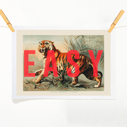 EASY TIGER BY THE 13 PRINTS Print - Art Wow - glott.no