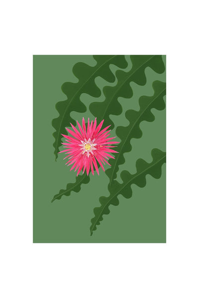 FISHBONE CACTUS - Stengun Drawings - glott.no