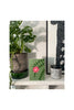 FISHBONE CACTUS - Stengun Drawings - glott.no