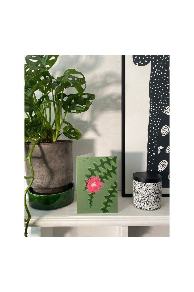 FISHBONE CACTUS - Stengun Drawings - glott.no