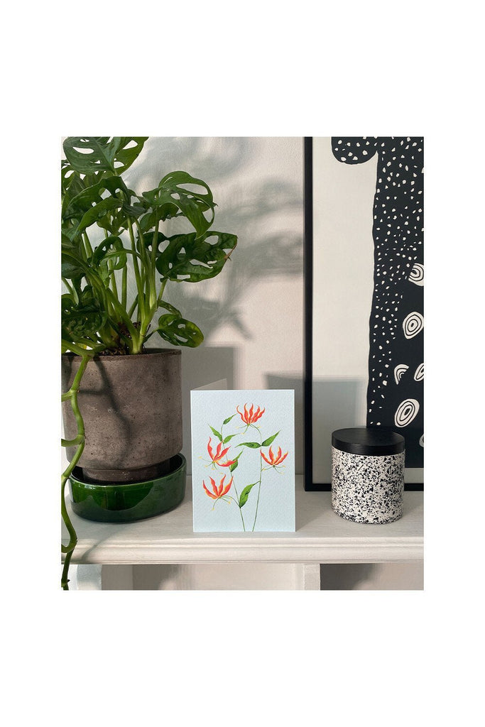 FLAME LILY - Stengun Drawings - glott.no