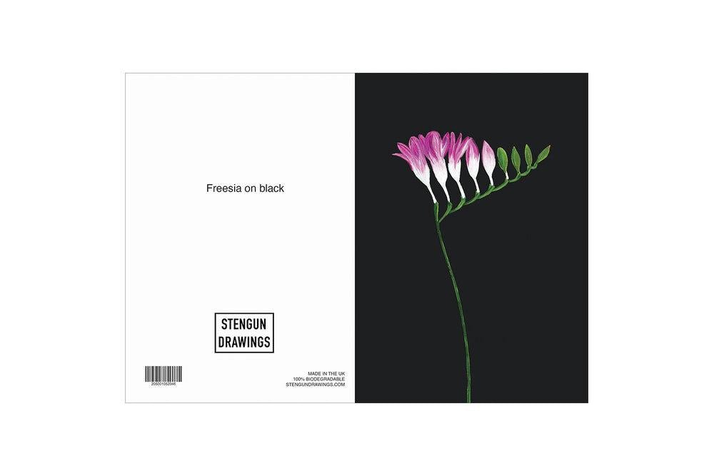 FREESIA ON BLACK - Stengun Drawings - glott.no