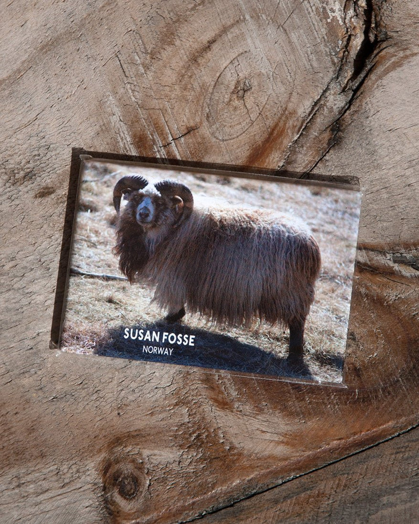 Fridge Magnets - glott.no