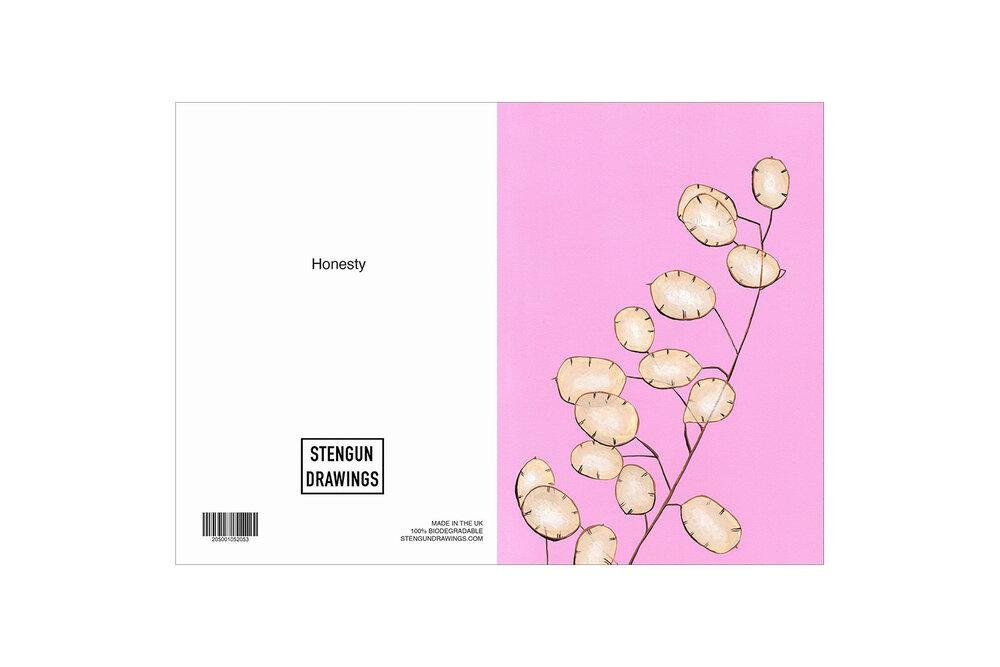HONESTY - Stengun Drawings - glott.no