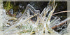 Ice Wool and Silk Scarf - glott.no