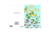 KYOTO GARDEN ACERS - Stengun Drawings - glott.no
