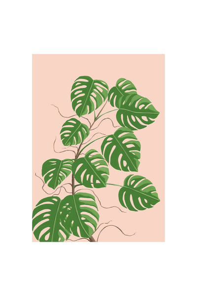MONSTERA 2021 Print - Stengun Drawings - glott.no