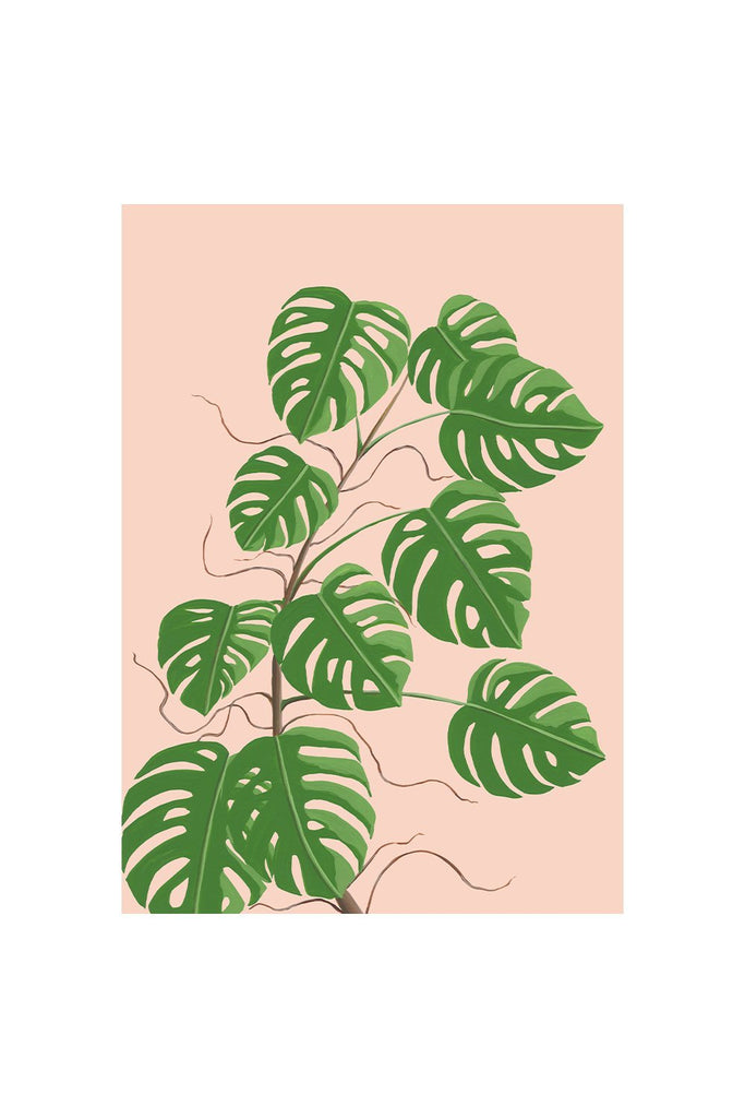 MONSTERA 2021 Print - Stengun Drawings - glott.no
