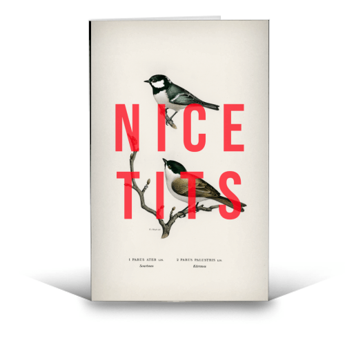 NICE TITS BY THE 13 PRINTS Kort - Art Wow - glott.no