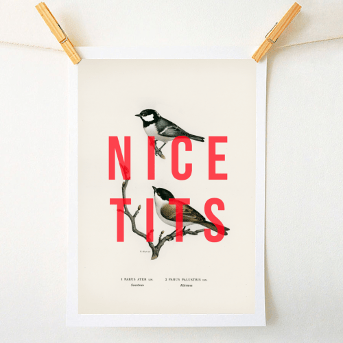 NICE TITS BY THE 13 PRINTS Print - Art Wow - glott.no