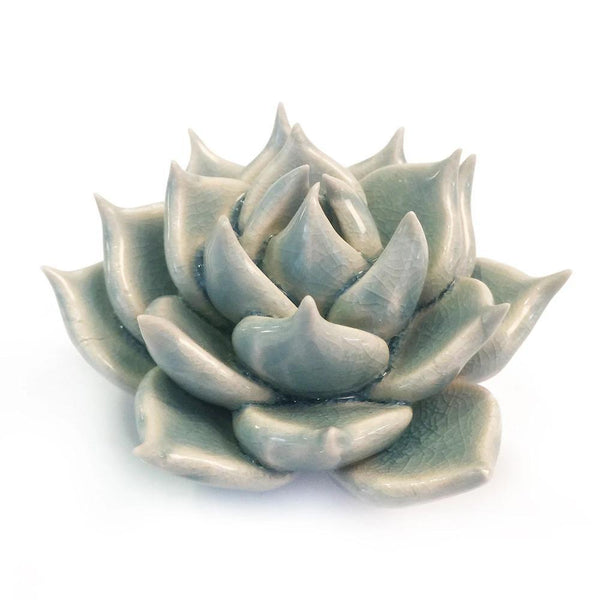 Small Coffee Table Accent Light Blue Succulent - Chive - glott.no