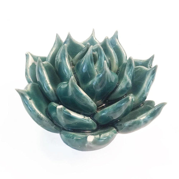 Small Coffee Table Accent Teal Succulent - Chive - glott.no